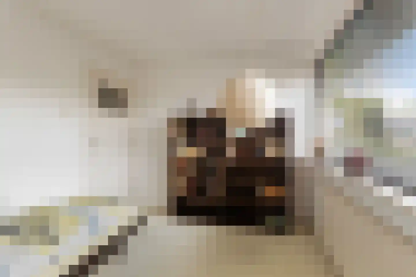 Rozemarijnsingel 5 Barendrecht thumbnail 31