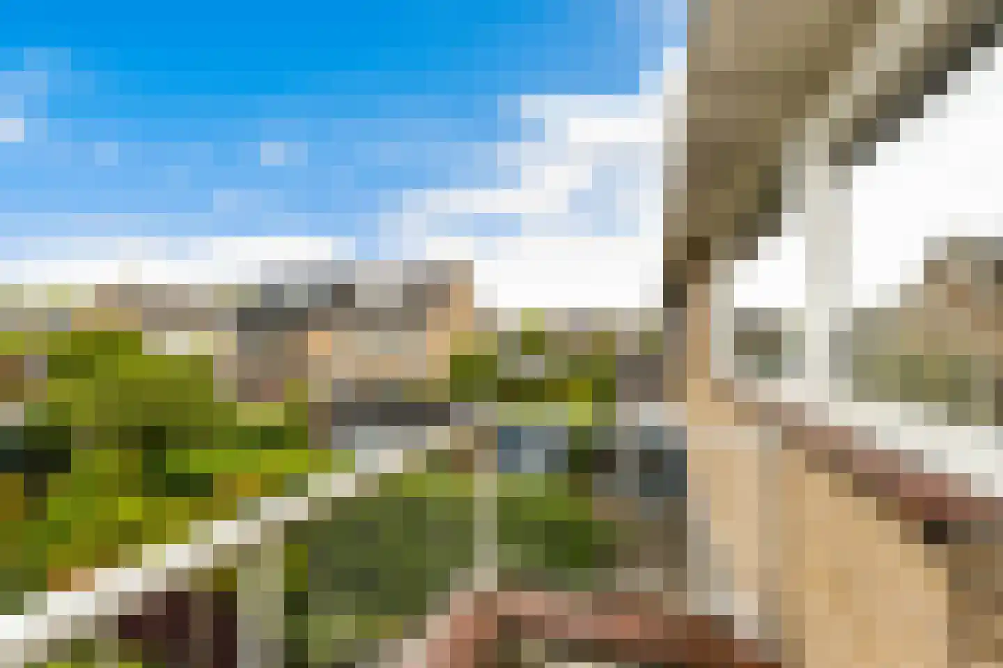 Rozemarijnsingel 5 Barendrecht thumbnail 41