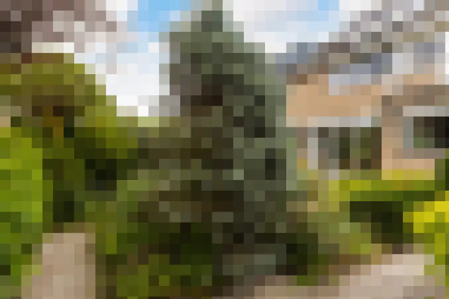 Rozemarijnsingel 5 Barendrecht thumbnail 45