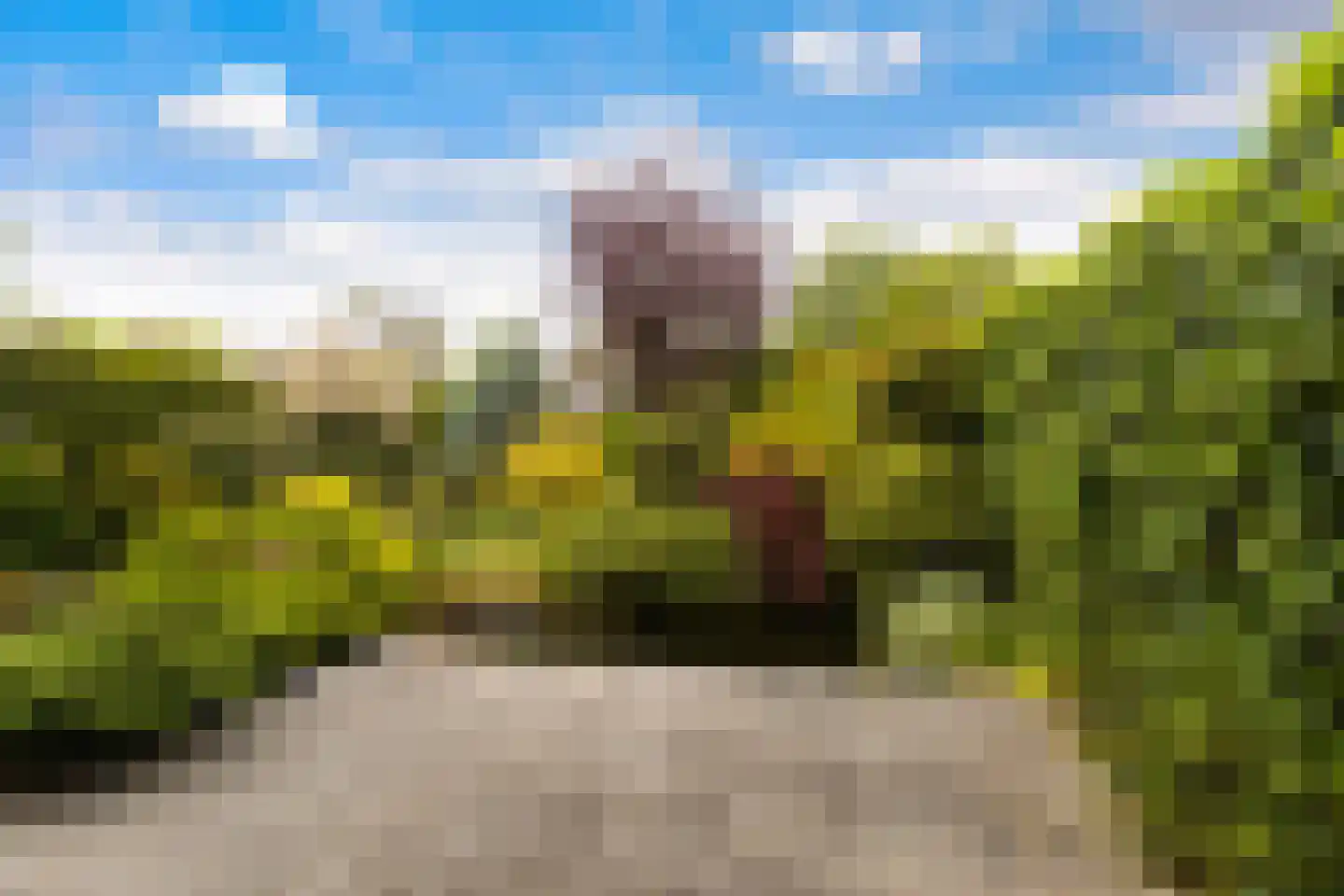 Rozemarijnsingel 5 Barendrecht thumbnail 47