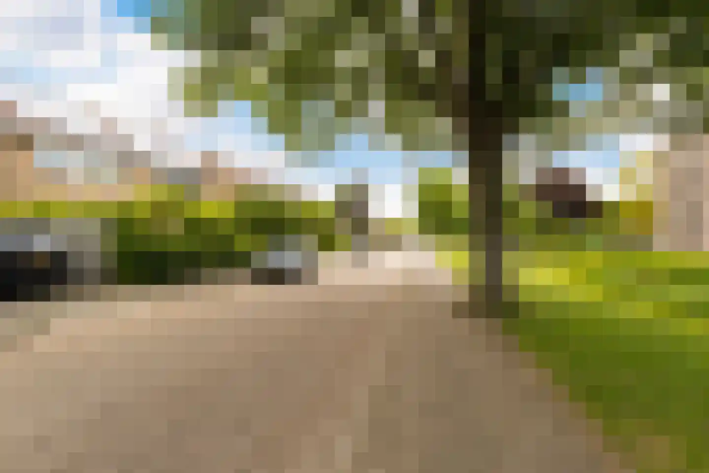 Rozemarijnsingel 5 Barendrecht thumbnail 56
