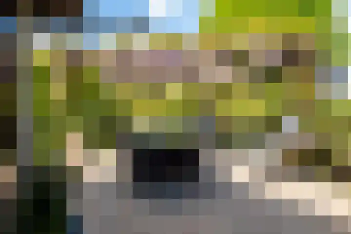 Rozemarijnsingel 7 Wierden thumbnail 11