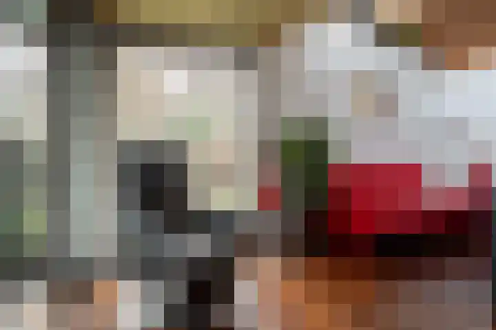 Rozemarijnsingel 7 Wierden thumbnail 18