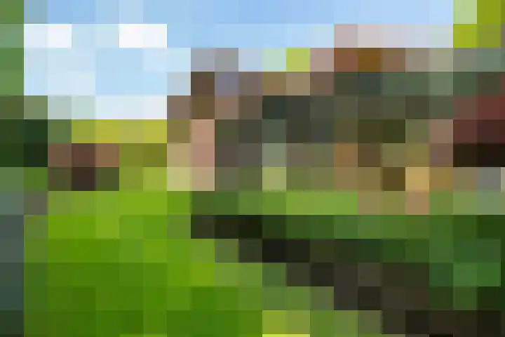 Rozemarijnsingel 7 Wierden thumbnail 45
