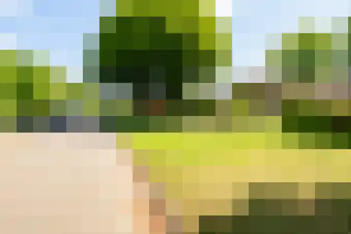 Rozemarijnsingel 7 Wierden thumbnail 47