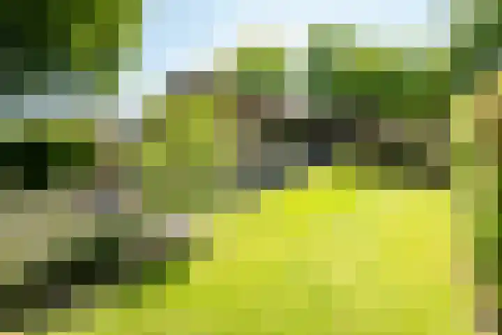 Rozemarijnsingel 7 Wierden thumbnail 6