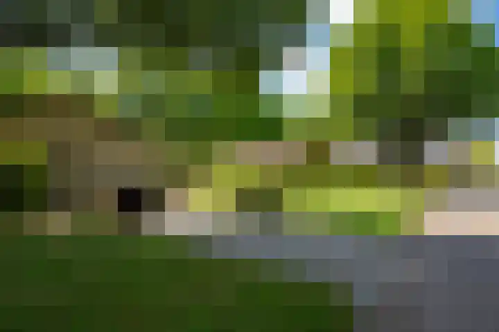 Rozemarijnsingel 7 Wierden thumbnail 8