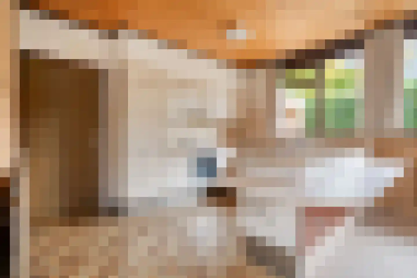 Rozemarijnsingel 8 Wierden thumbnail 19