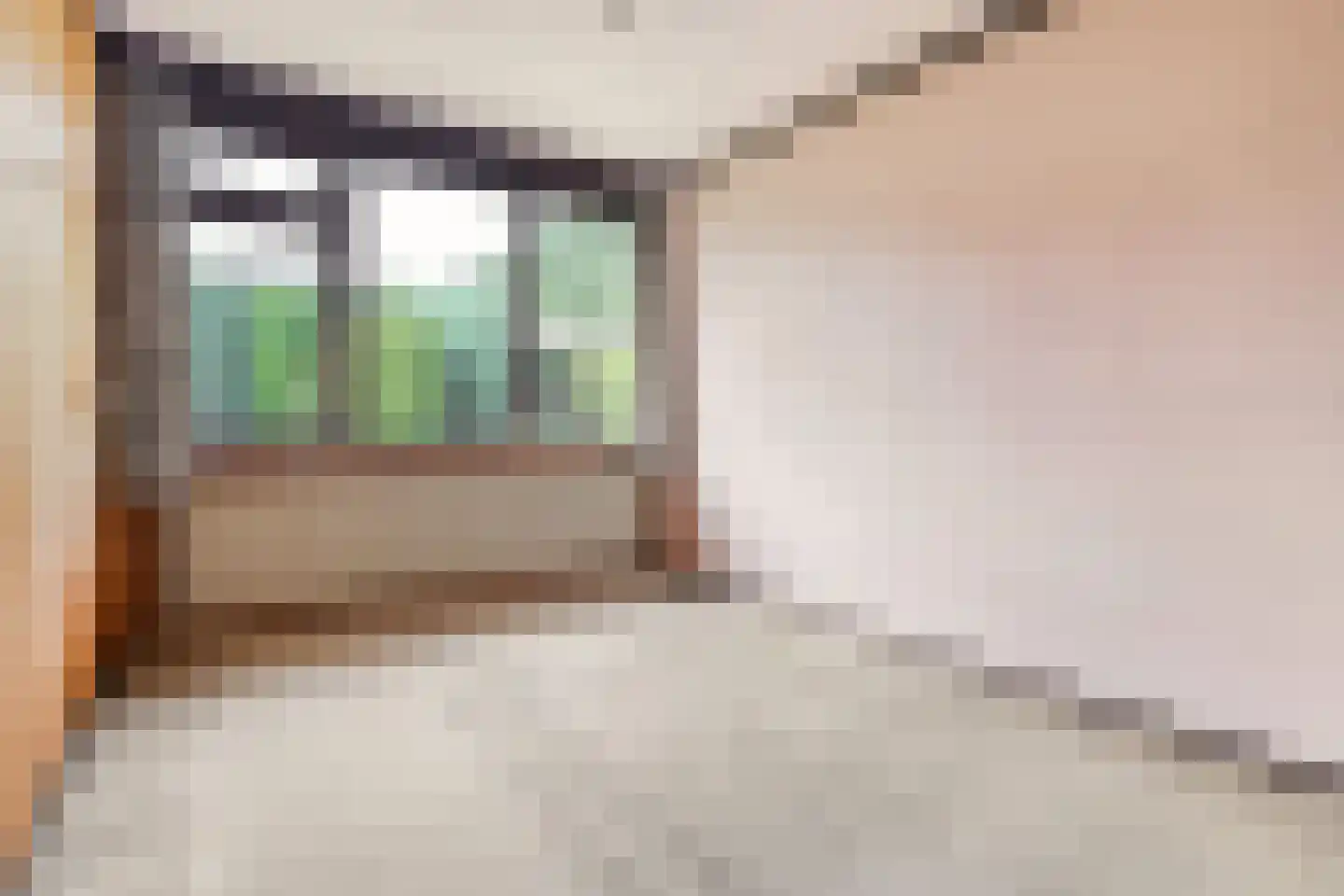 Rozemarijnsingel 8 Wierden thumbnail 25