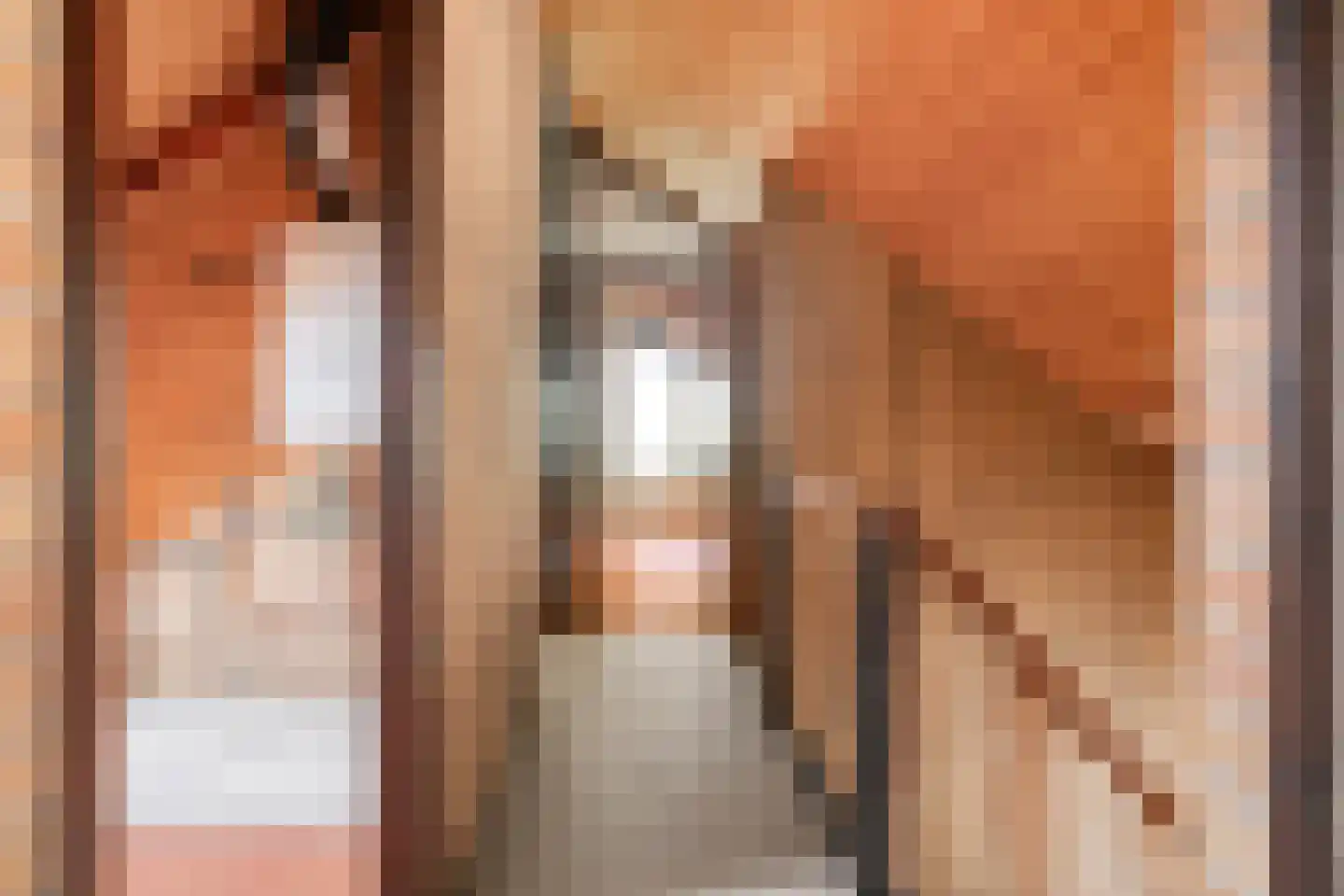 Rozemarijnsingel 8 Wierden thumbnail 36