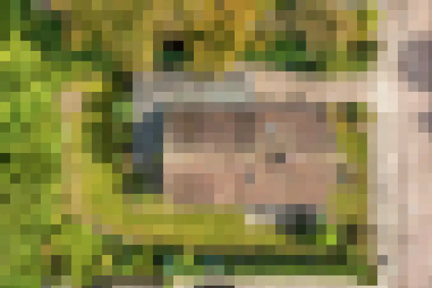 Rozemarijnsingel 8 Wierden thumbnail 5
