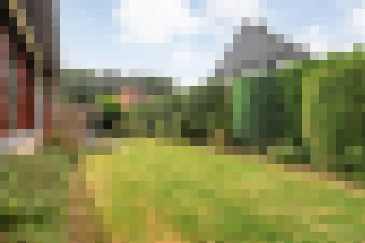 Rozemarijnsingel 8 Wierden thumbnail 52