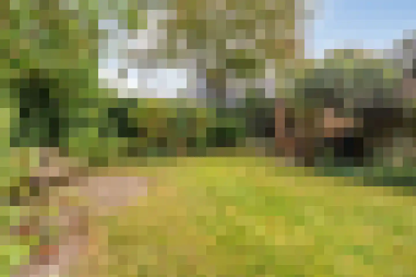 Rozemarijnsingel 8 Wierden thumbnail 54