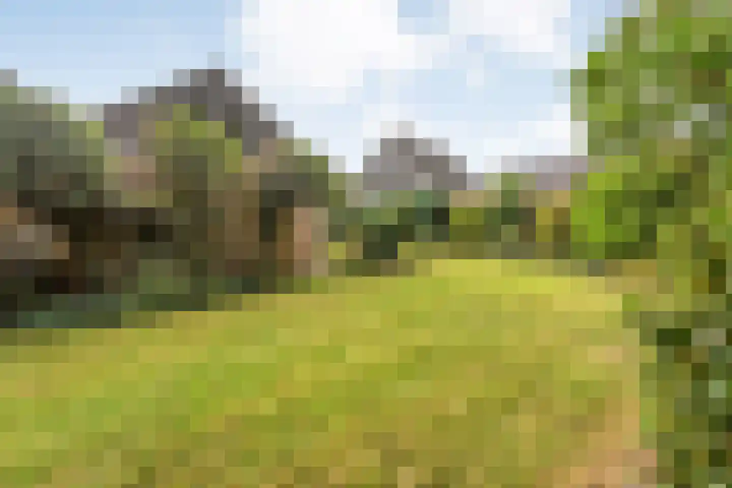 Rozemarijnsingel 8 Wierden thumbnail 55