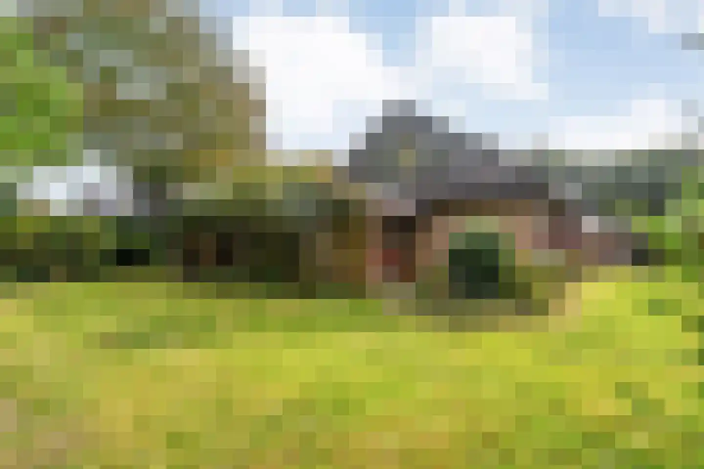 Rozemarijnsingel 8 Wierden thumbnail 56
