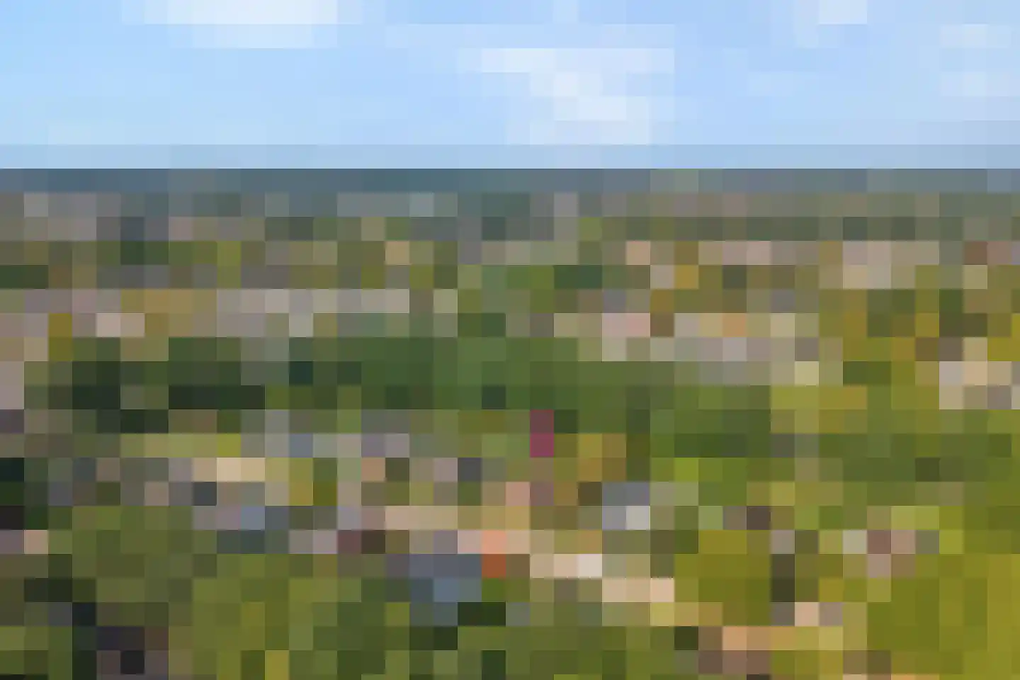 Rozemarijnsingel 8 Wierden thumbnail 6