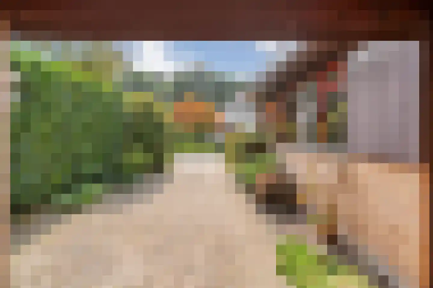 Rozemarijnsingel 8 Wierden thumbnail 9