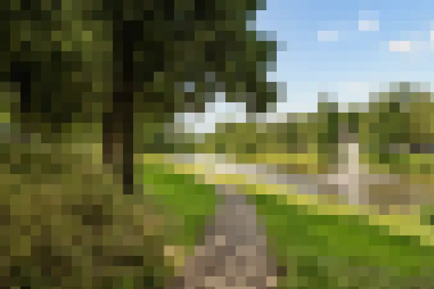 Rozemarijnsteeg 39 Elburg thumbnail 25