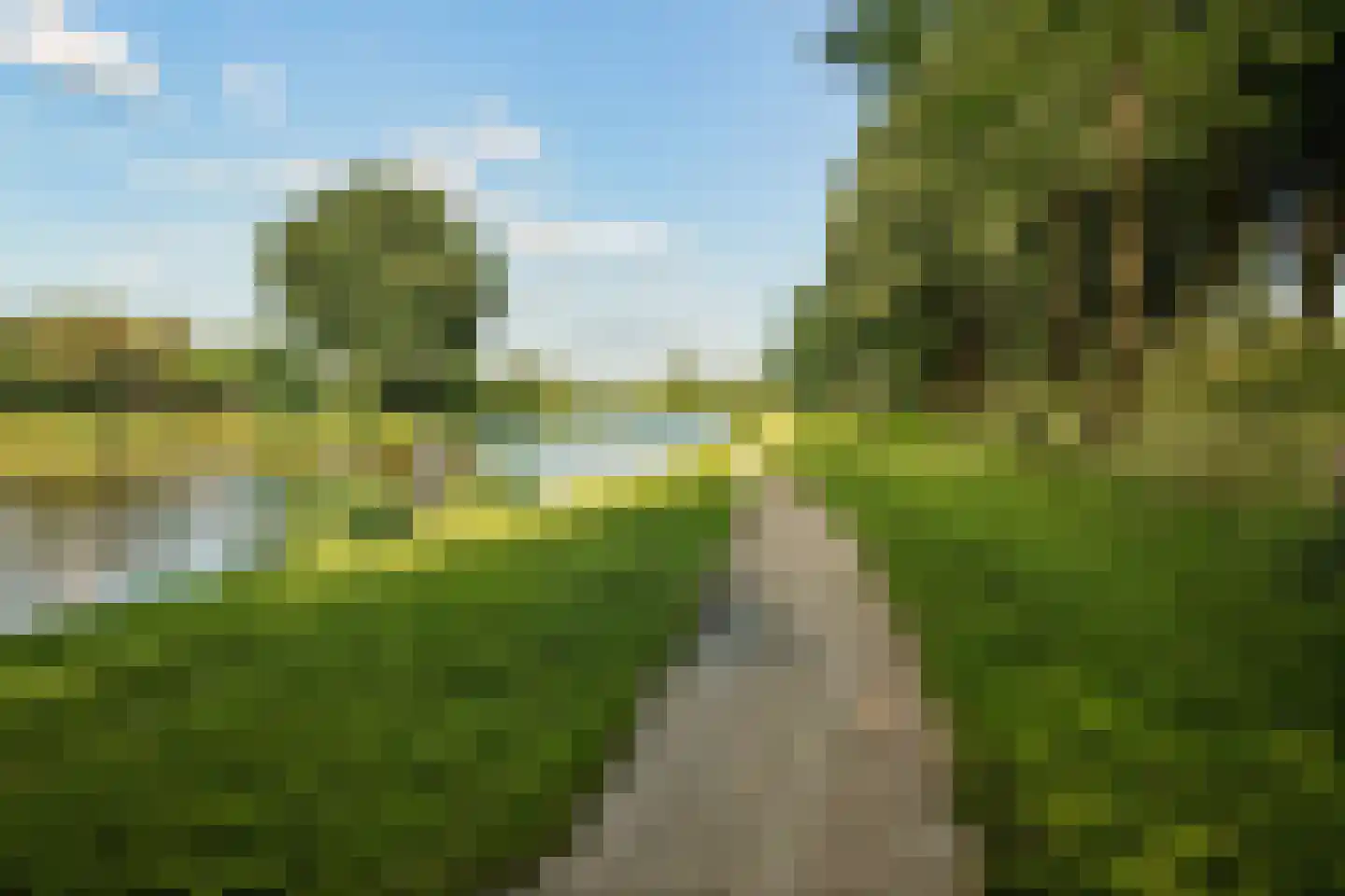 Rozemarijnsteeg 39 Elburg thumbnail 27