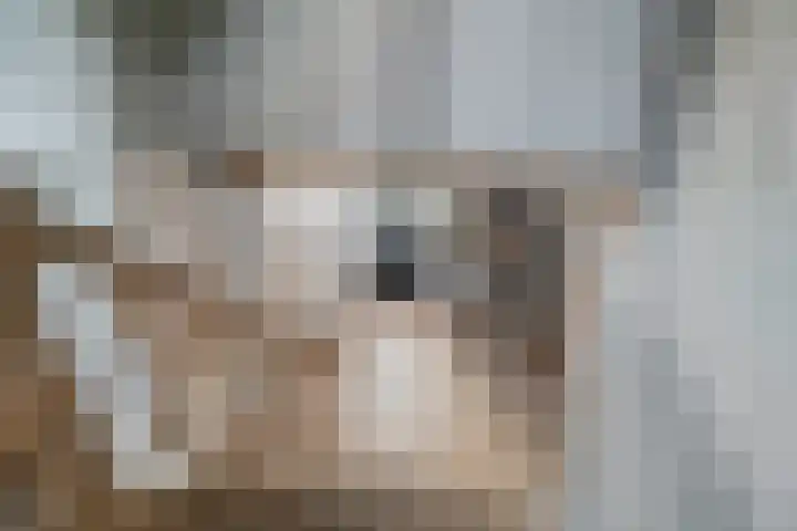 Rozemarijnsteeg 6 A Elburg thumbnail 14