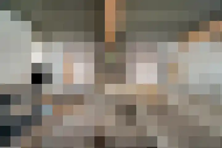 Rozemarijnsteeg 6 A Elburg thumbnail 16