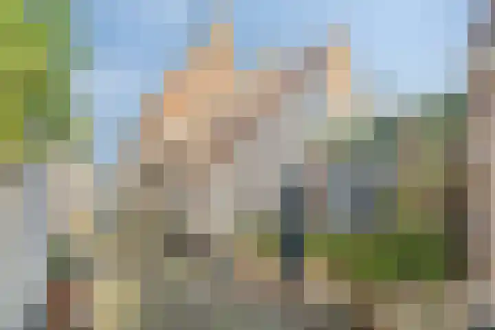 Rozemarijnsteeg 6 A Elburg thumbnail 45