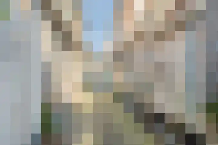 Rozemarijnsteeg 6 A Elburg thumbnail 46