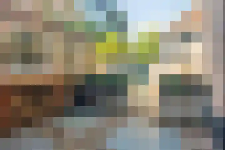 Rozemarijnsteeg 6 A Elburg thumbnail 9