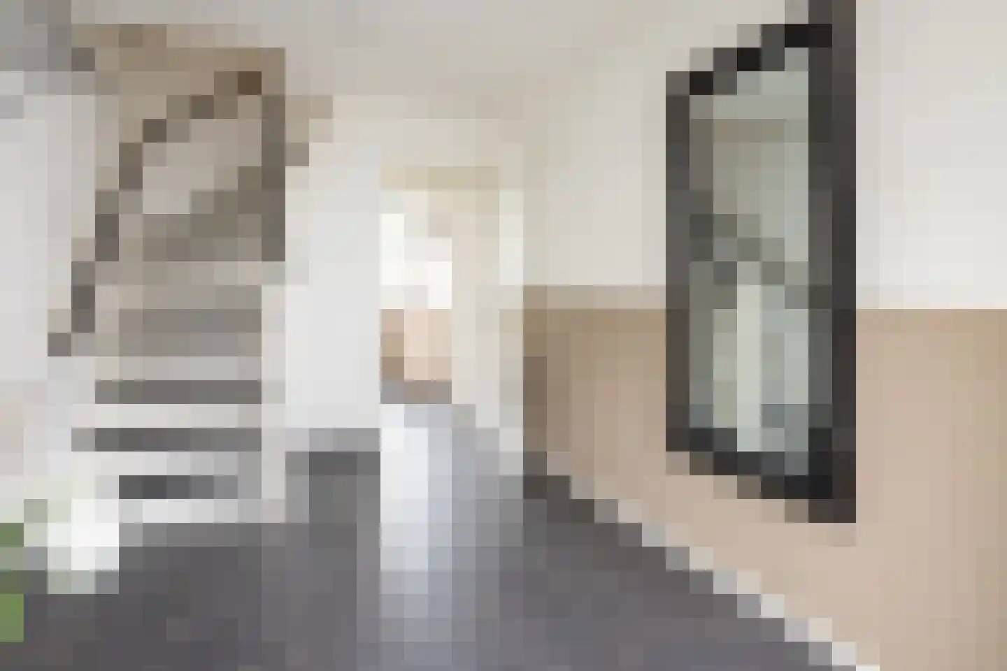 Rozemarijnstraat 11 Zaamslag thumbnail 5