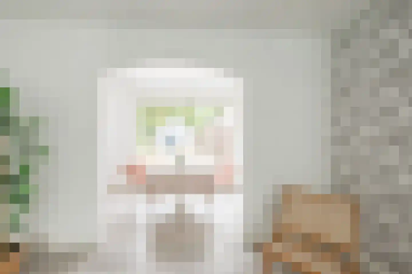 Rozemarijnstraat 11 Zaamslag thumbnail 9