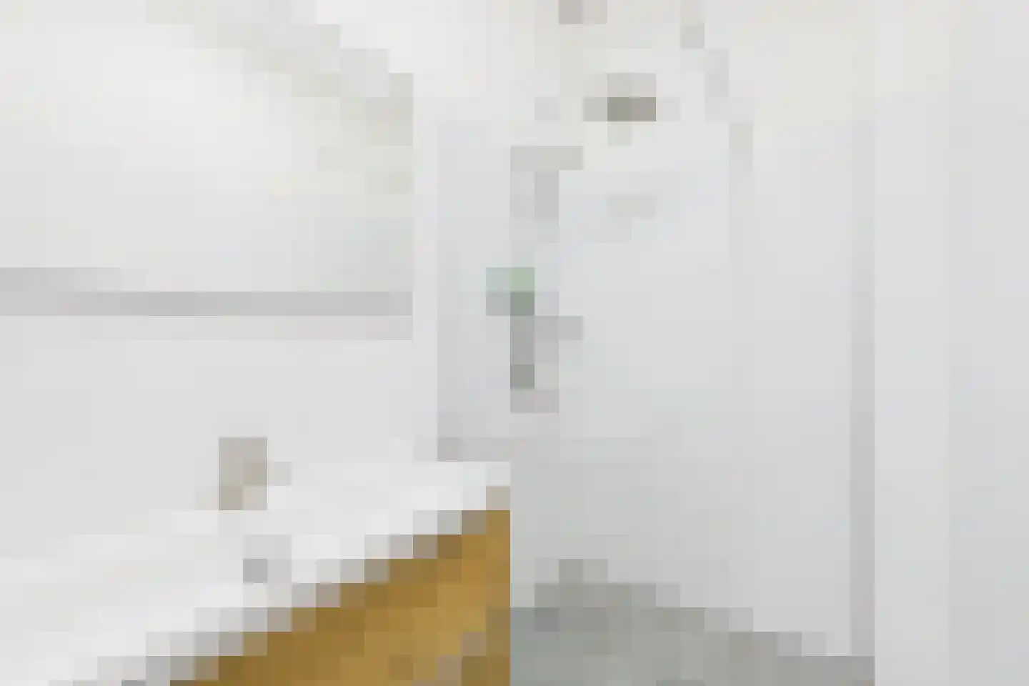 Rozemarijnstraat 12 Middelburg thumbnail 18