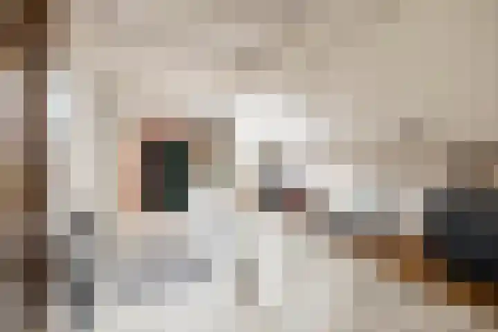 Rozemarijnstraat 12 Voorst thumbnail 11