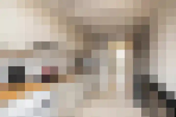 Rozemarijnstraat 12 Voorst thumbnail 12