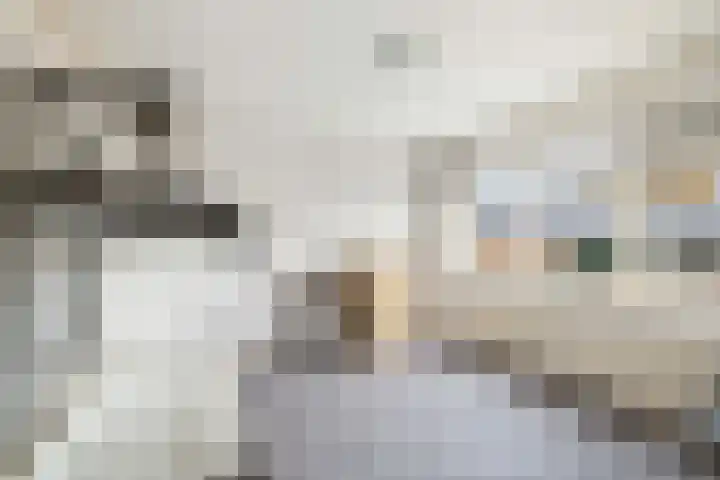 Rozemarijnstraat 12 Voorst thumbnail 15