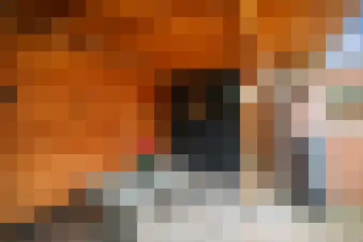 Rozemarijnstraat 12 Voorst thumbnail 31