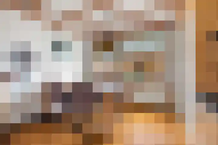 Rozemarijnstraat 12 Voorst thumbnail 9