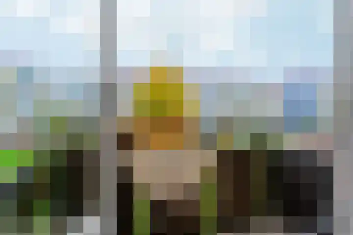 Rozemarijnstraat 13 Nijmegen thumbnail 13