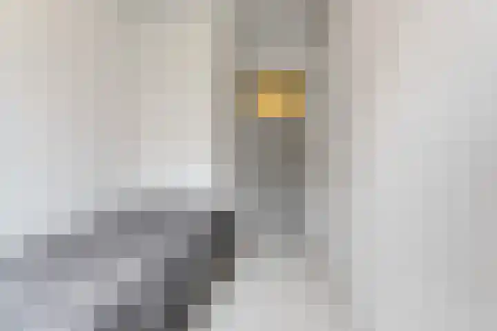 Rozemarijnstraat 13 Nijmegen thumbnail 26
