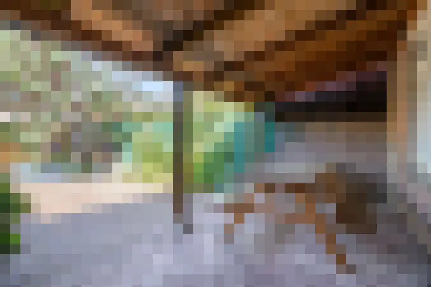 Rozemarijnstraat 14 Arnhem thumbnail 31