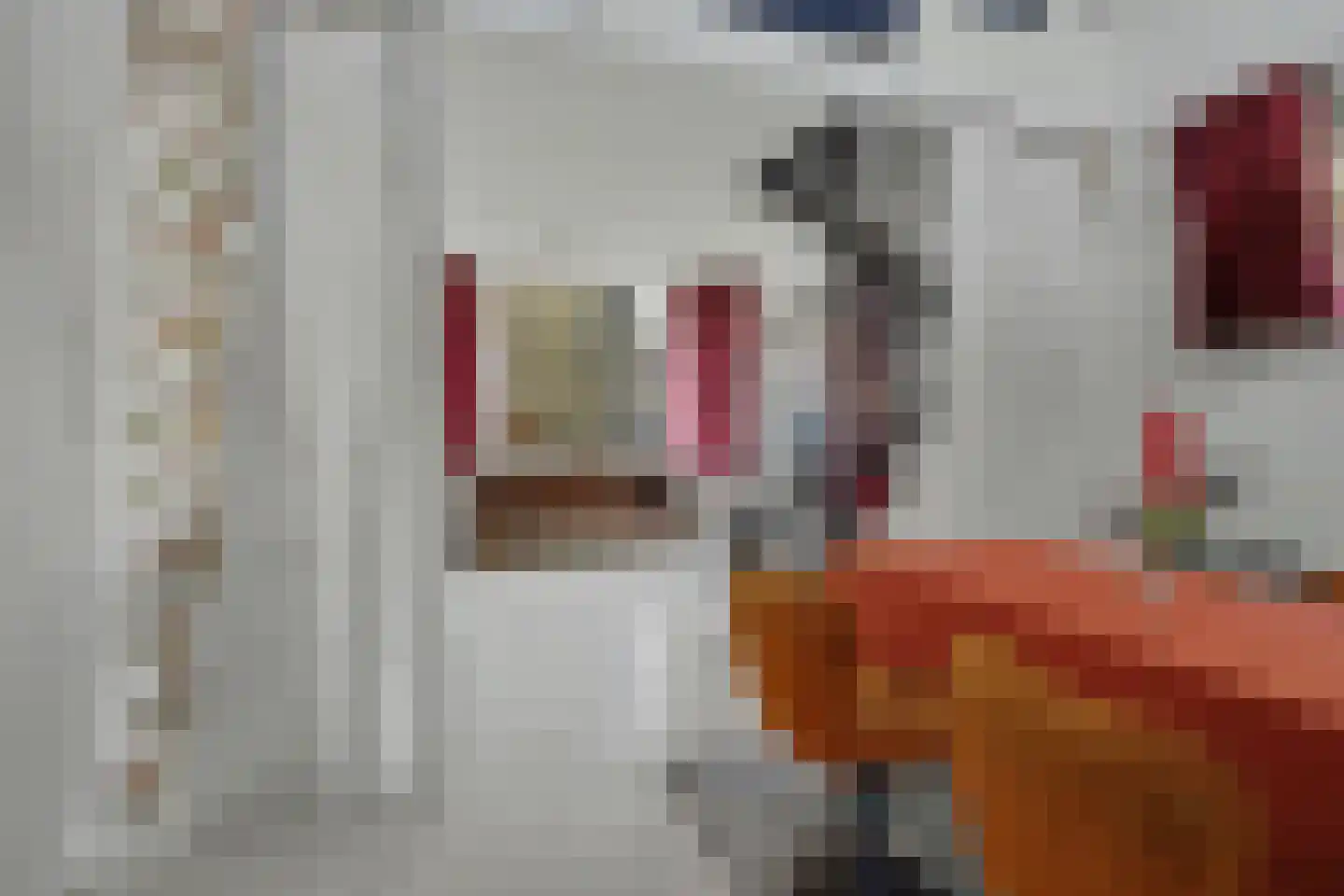 Rozemarijnstraat 14 Zierikzee thumbnail 18