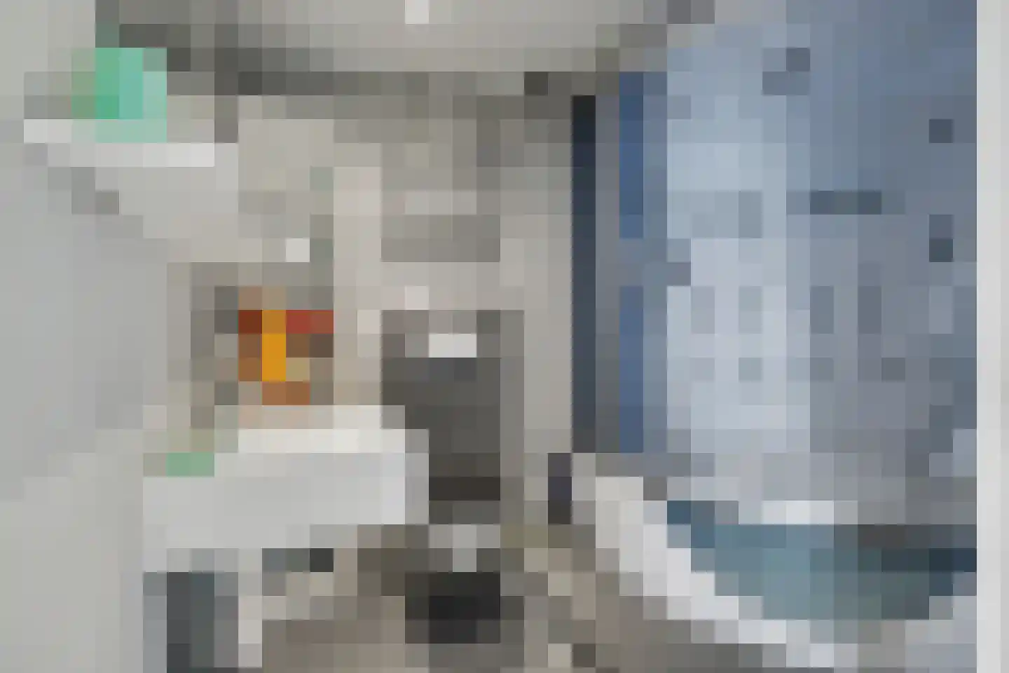 Rozemarijnstraat 14 Zierikzee thumbnail 32