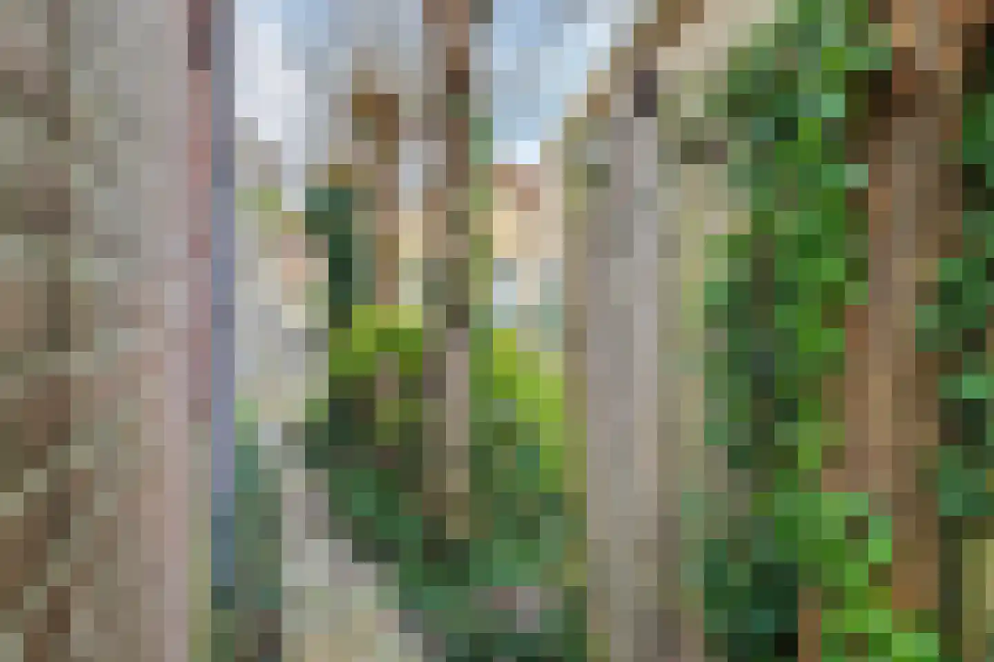 Rozemarijnstraat 14 Zierikzee thumbnail 37