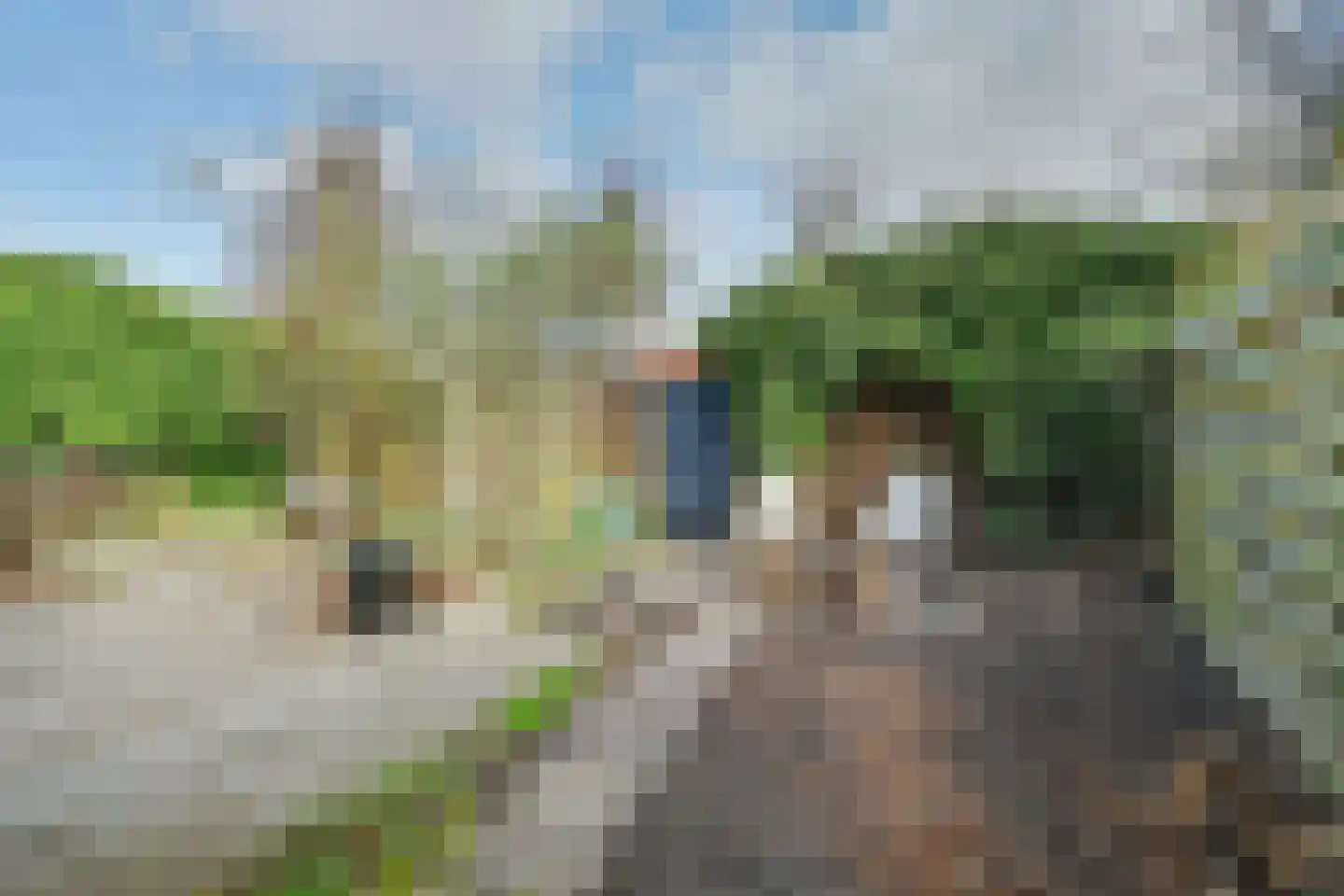 Rozemarijnstraat 14 Zierikzee thumbnail 39