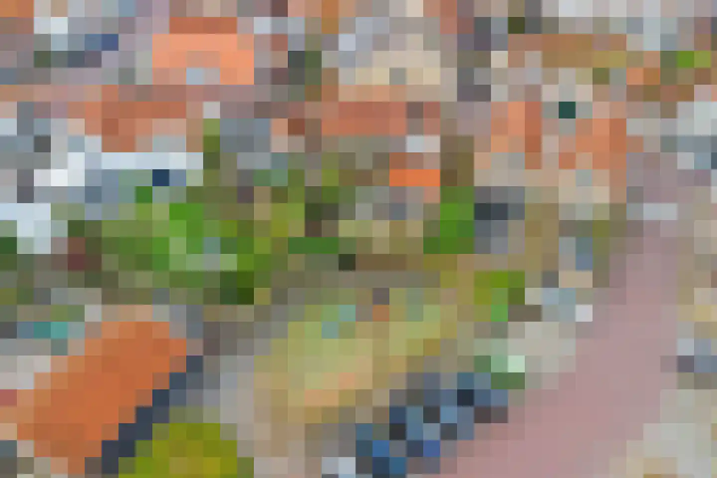 Rozemarijnstraat 14 Zierikzee thumbnail 43