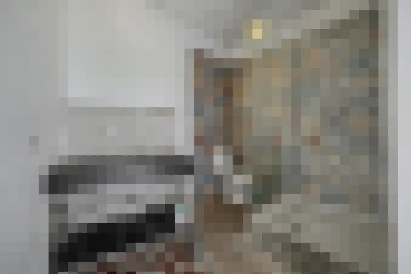 Rozemarijnstraat 14 Zierikzee thumbnail 9