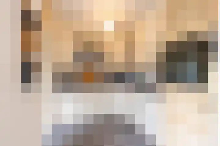 Rozemarijnstraat 17 Groningen thumbnail 13