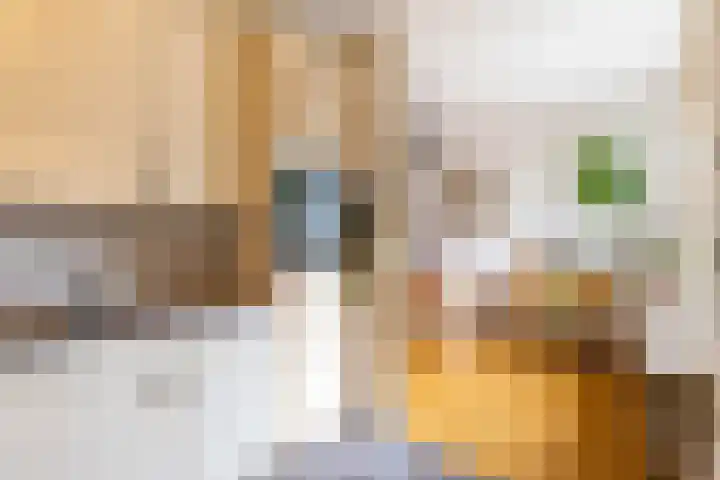Rozemarijnstraat 17 Groningen thumbnail 15