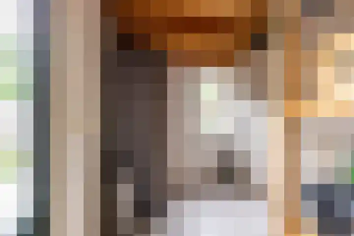 Rozemarijnstraat 17 Groningen thumbnail 17