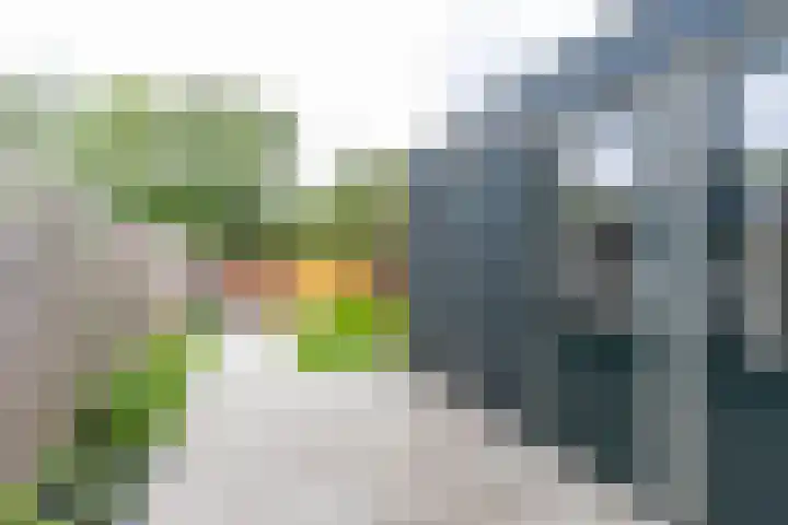 Rozemarijnstraat 17 Groningen thumbnail 19