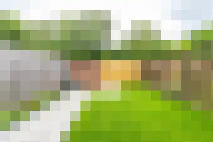 Rozemarijnstraat 17 Groningen thumbnail 20